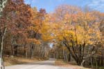 d5492__05-nov_12-15_shenandon_skyline
